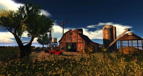 The Cornfield – photograph by Wildstar Beaumont